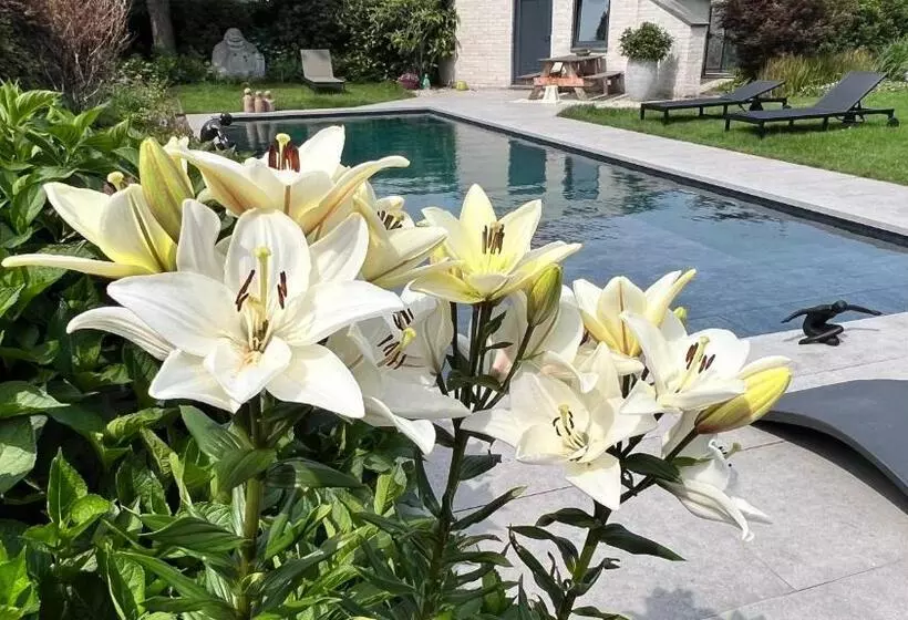 Aamiaismajoitus (B&B) Ikigai