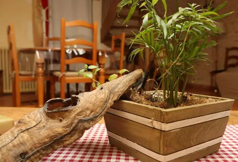 ベッドアンドブレックファースト O Le Zen