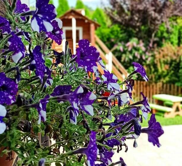 호텔 Rodzinny Zakątek U Głuszków Bieszczady