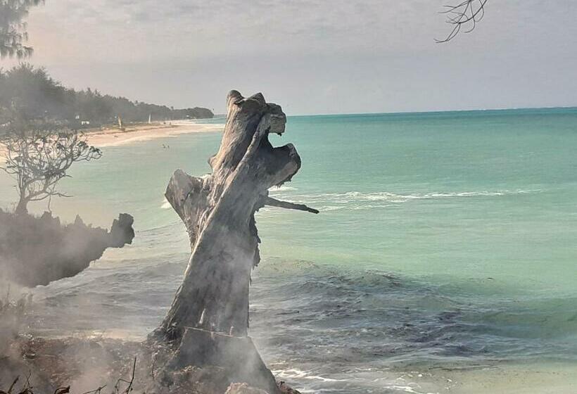 Hotel Panorama Ocean View Resort