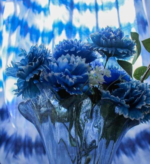 فندق Y Café Ixmati Suchitoto