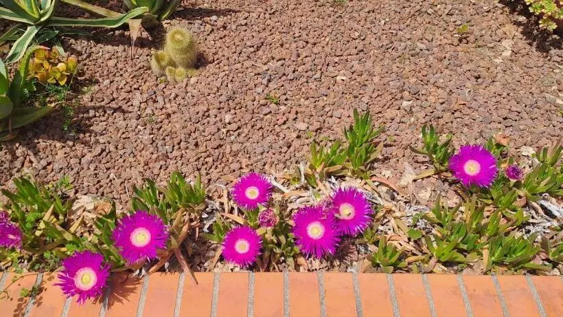 Majatalo Casa La Civetta   Relax Tra Verde E Mare A 10 Minuti Da Sestri Levante