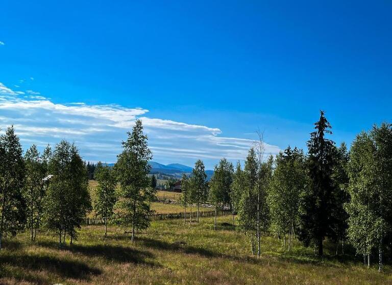 پانسیون Chalet Deluț