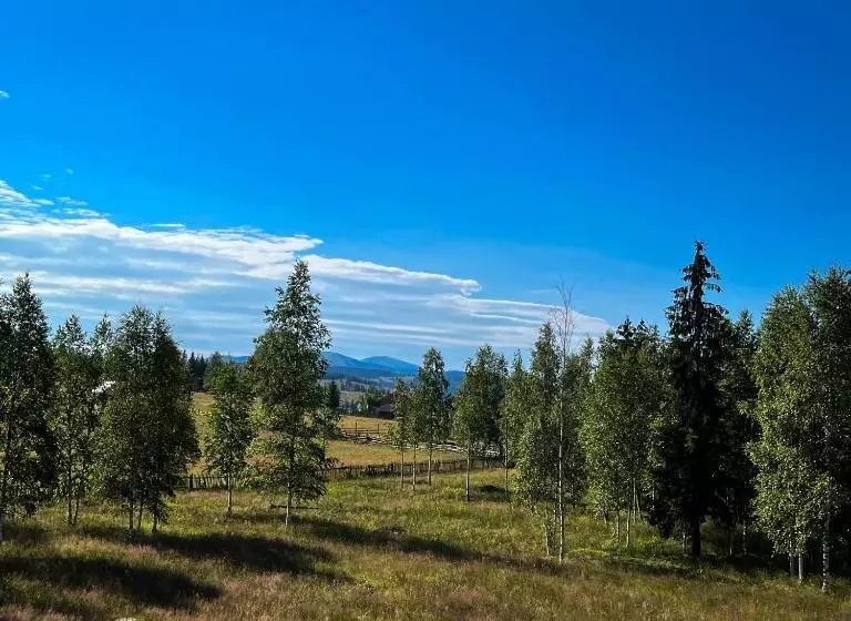 پانسیون Chalet Deluț