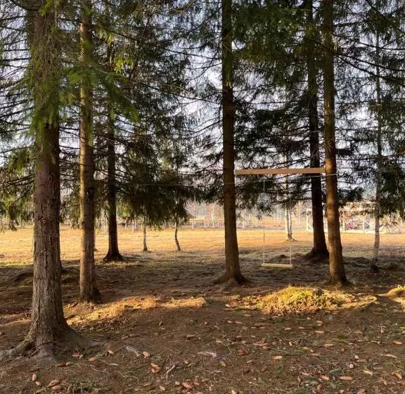 پانسیون Chalet Deluț