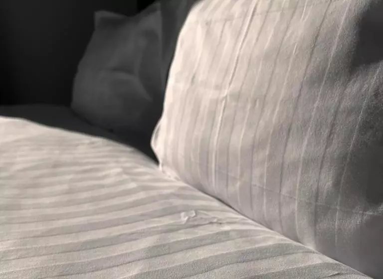 پانسیون Chalet Deluț