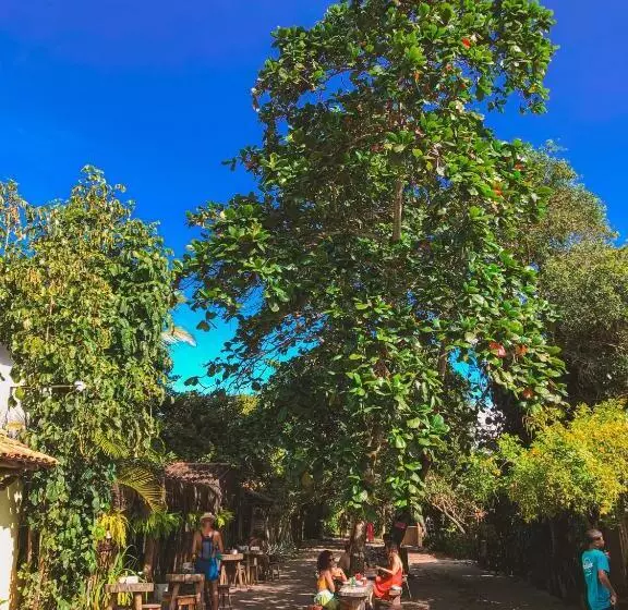 ペンション Pousada Villa Esperança   Xandó   Caraíva Ba