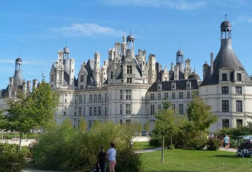 Aamiaismajoitus (B&B) Chambres Entre Romorantin Chambord Zoo De Beauval