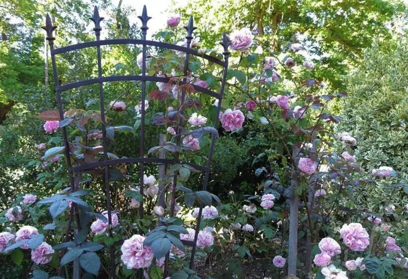 Aamiaismajoitus (B&B) Chambres Entre Romorantin Chambord Zoo De Beauval