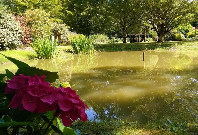 צימר Chambres Entre Romorantin Chambord Zoo De Beauval