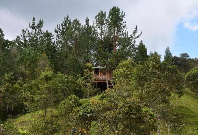 ホテル Glamping Ancestros Ecoparque