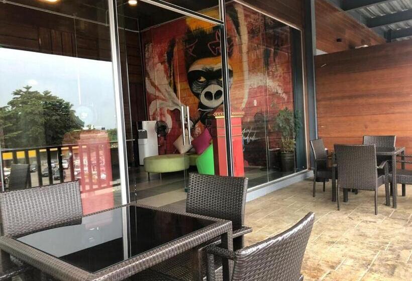 בית מלון כפרי Wings