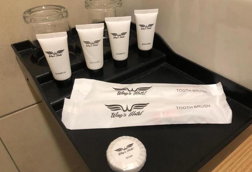 בית מלון כפרי Wings