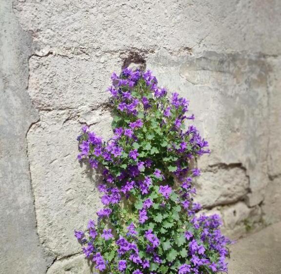 L Escale Niortaise Centre Ville 10mn Gare Wifi Netflix