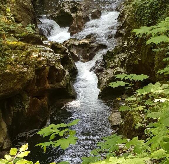 膳宿费 Les Morillons