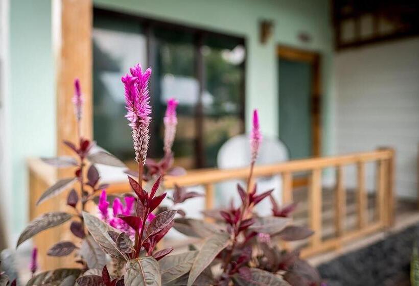 Пансион Marta House Gili Air