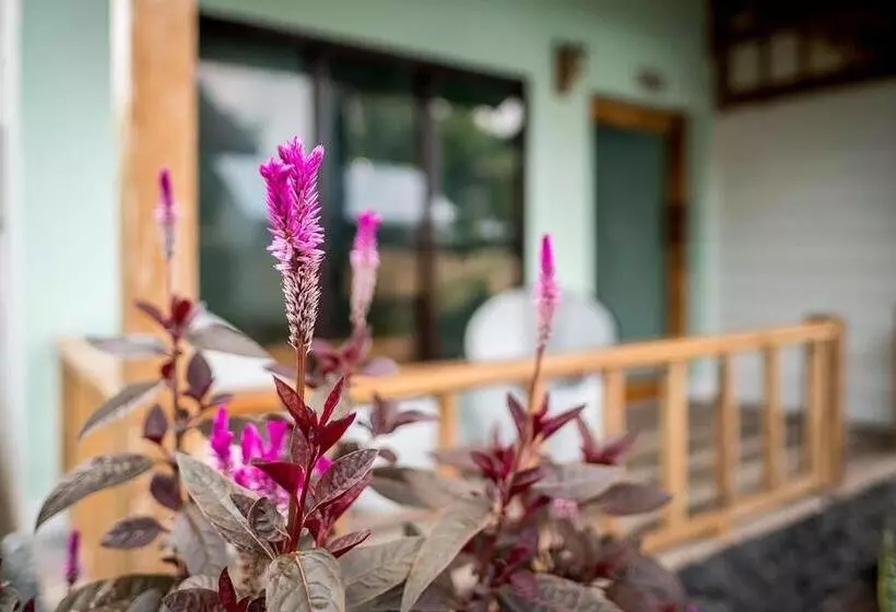 ペンション Marta House Gili Air