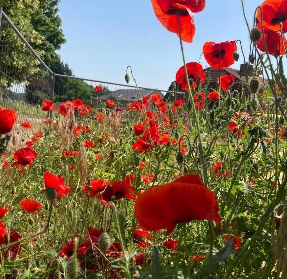 פנסיון Winsen 1 Genieße Kreative Fewo Zw Hamburg U. Lüneburg