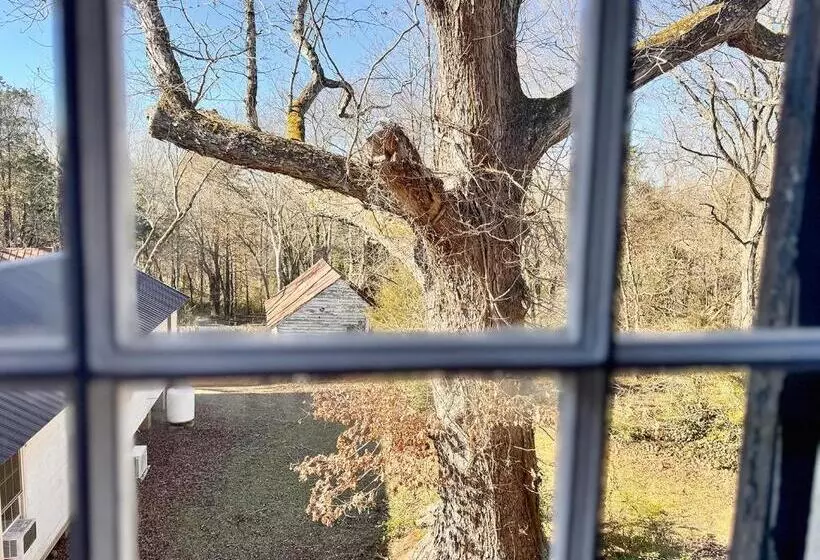 The Sunnyside Sisters Bed And Breakfast