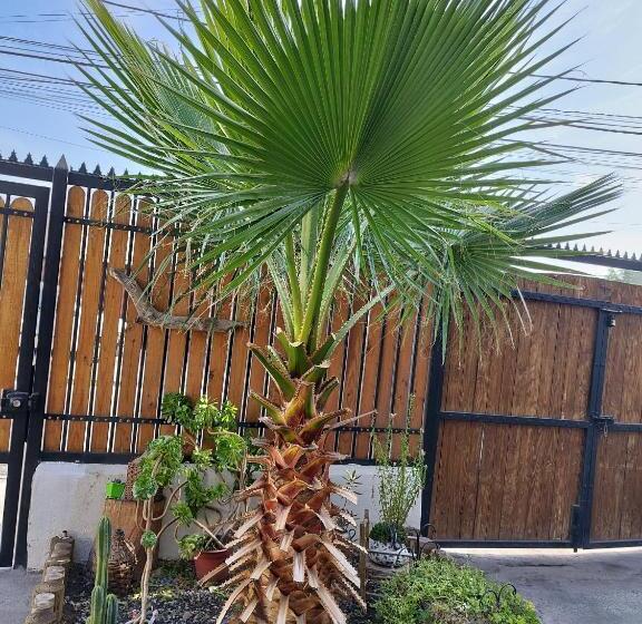 فندق صغير Hostal Sol Y Luna