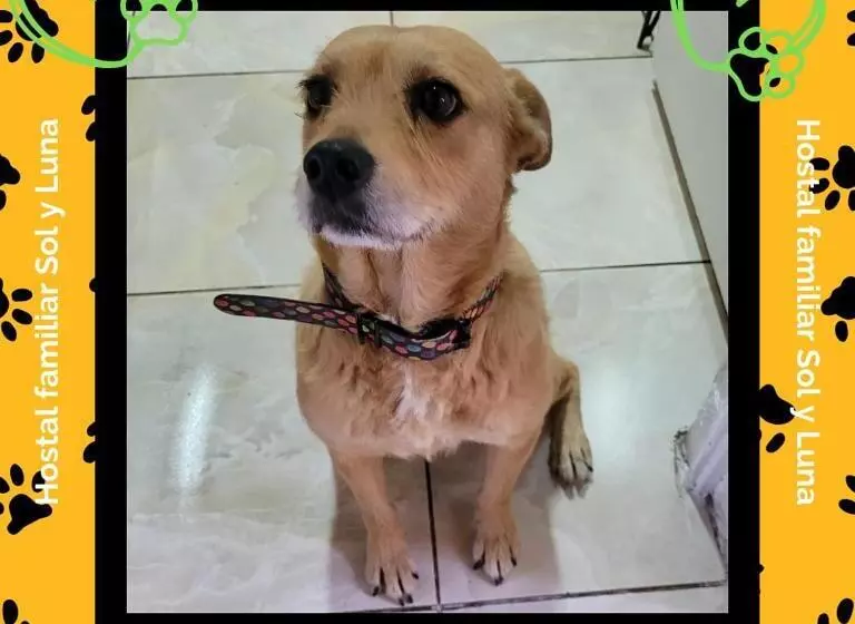 Retkeilymaja Hostal Sol Y Luna