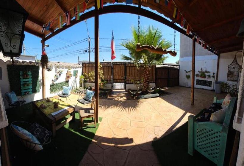 فندق صغير Hostal Sol Y Luna