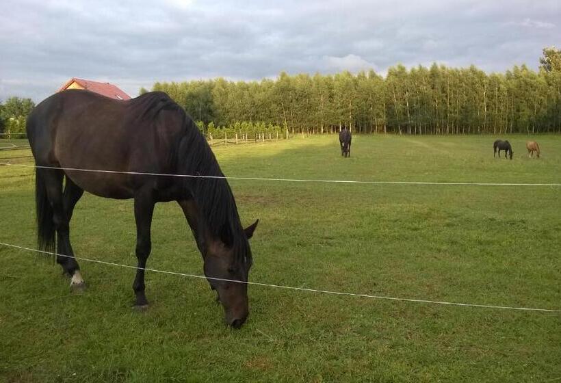 فندق صغير Ranczo Sielanka