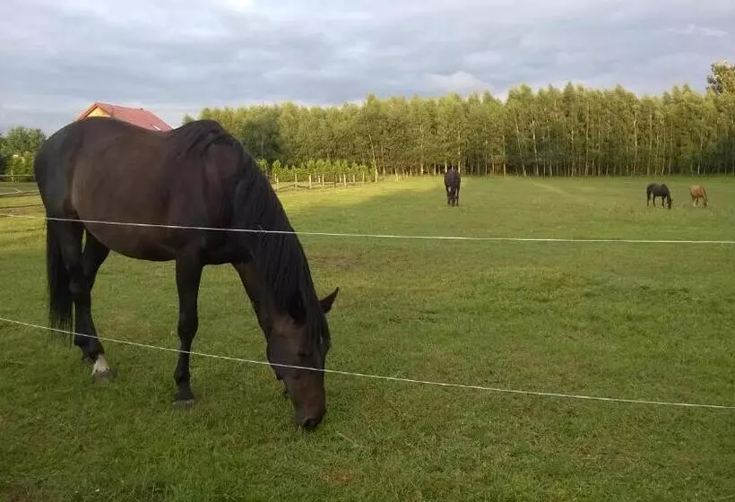 Retkeilymaja Ranczo Sielanka