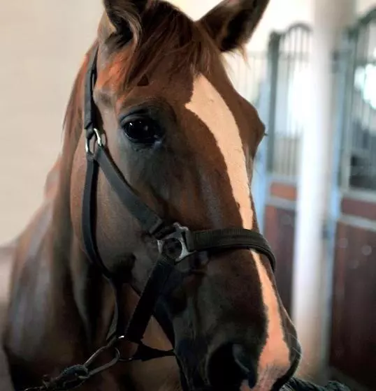 Retkeilymaja Ranczo Sielanka