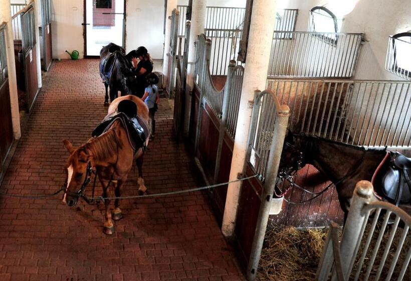 فندق صغير Ranczo Sielanka