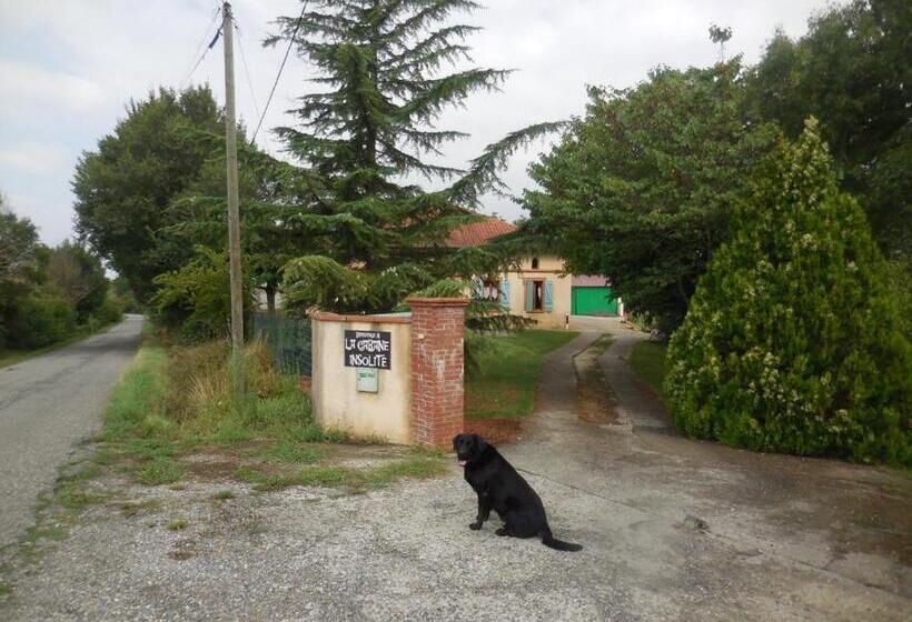 B&b La Cabane Insolite