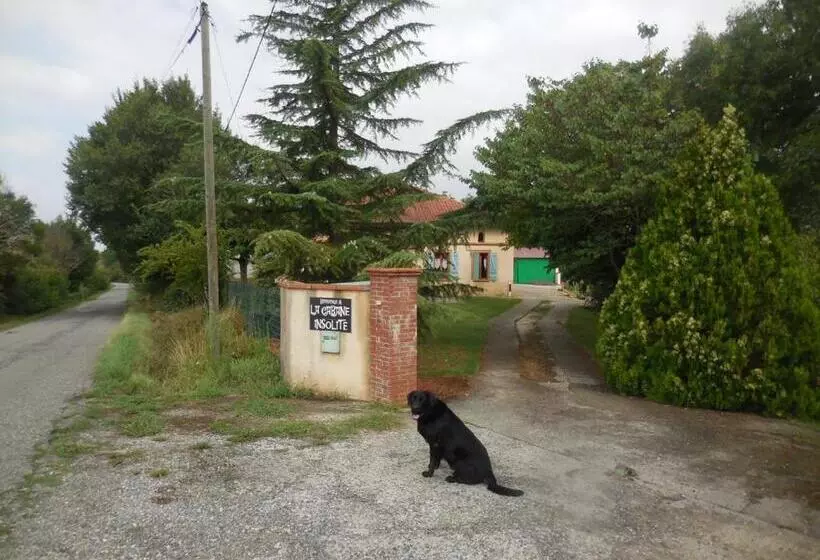 B&b La Cabane Insolite