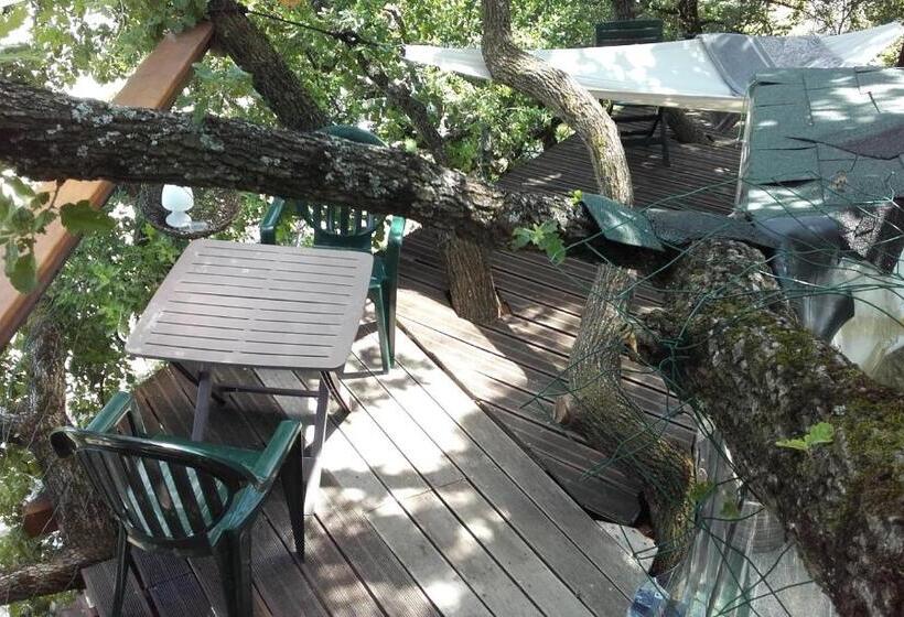 B&b La Cabane Insolite