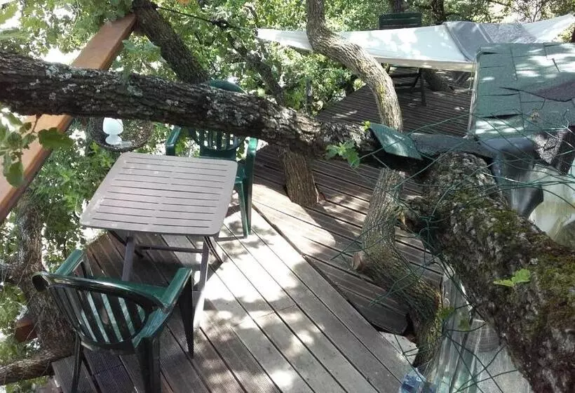 B&b La Cabane Insolite