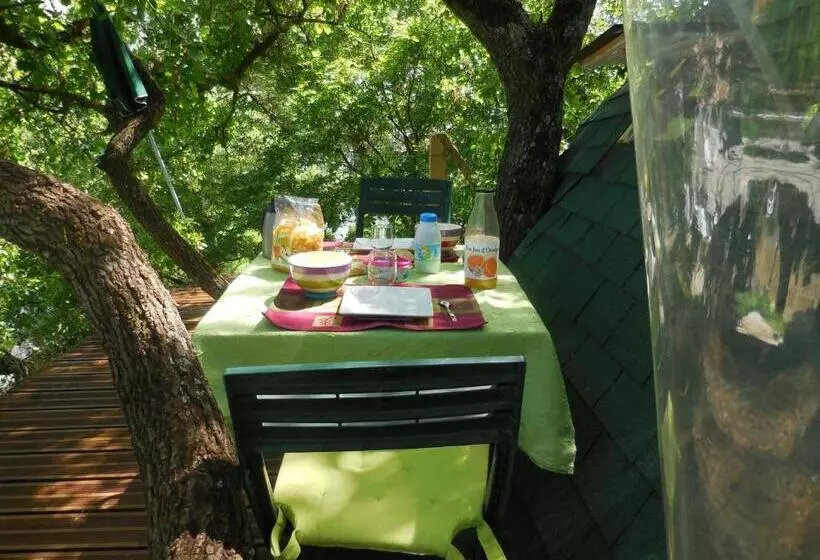 B&b La Cabane Insolite