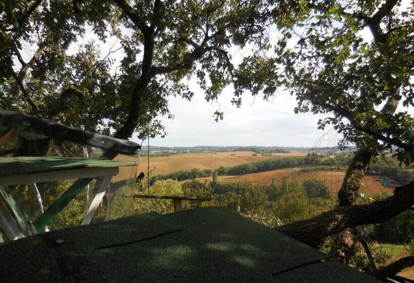 B&b La Cabane Insolite