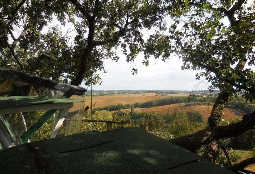 B&b La Cabane Insolite