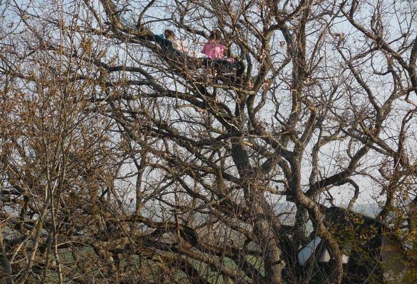 B&b La Cabane Insolite