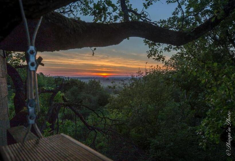 B&b La Cabane Insolite