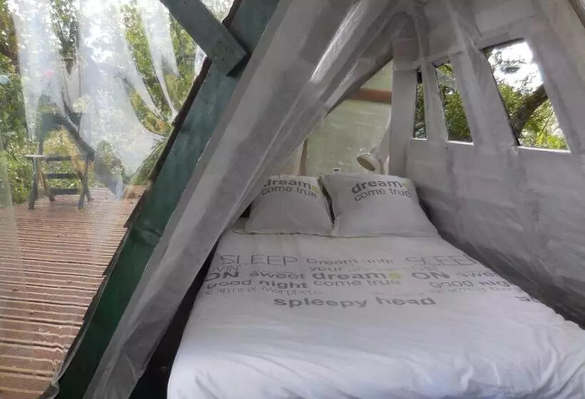 B&b La Cabane Insolite