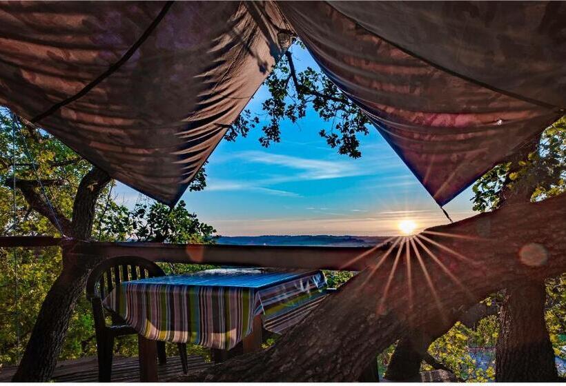 B&b La Cabane Insolite