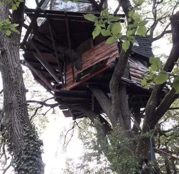 B&b La Cabane Insolite