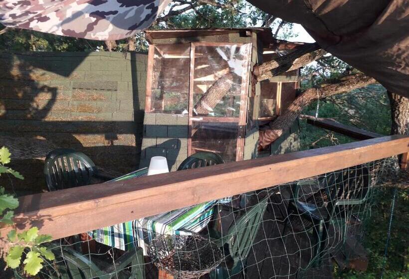 B&b La Cabane Insolite