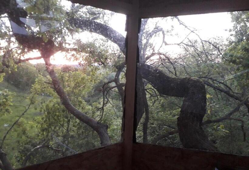 B&b La Cabane Insolite