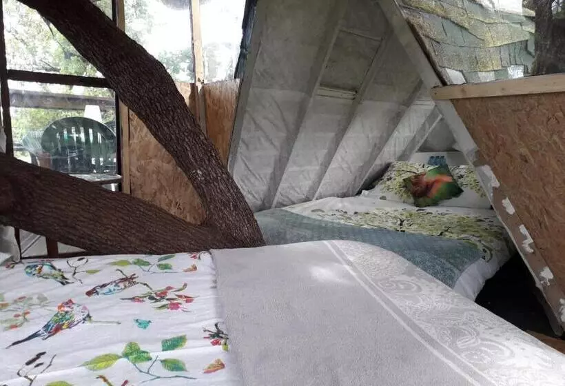 B&b La Cabane Insolite