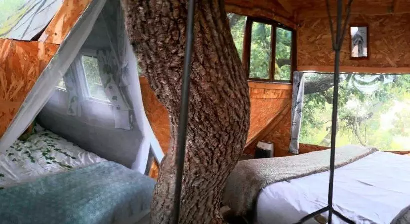 B&b La Cabane Insolite