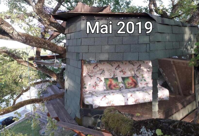 B&b La Cabane Insolite