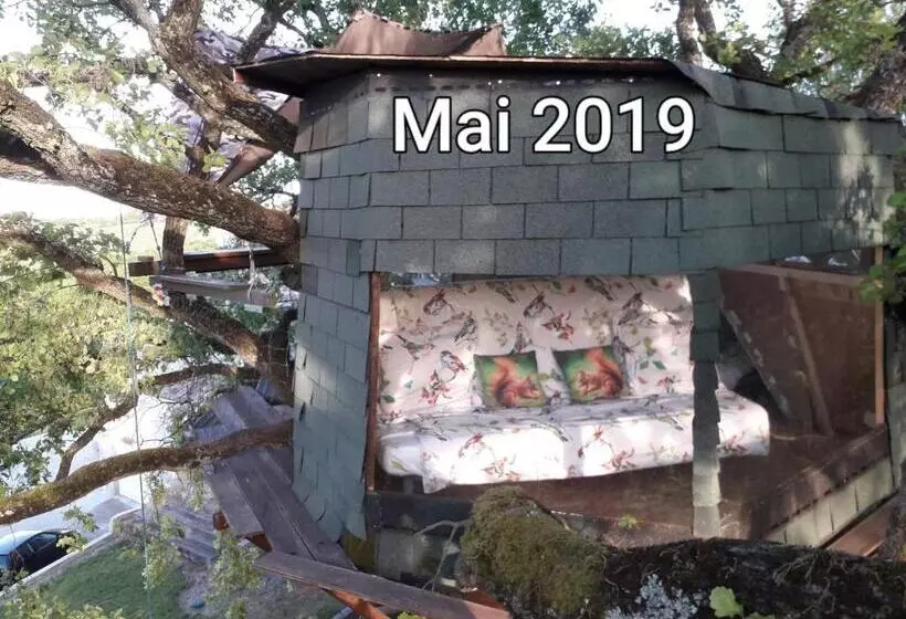 B&b La Cabane Insolite