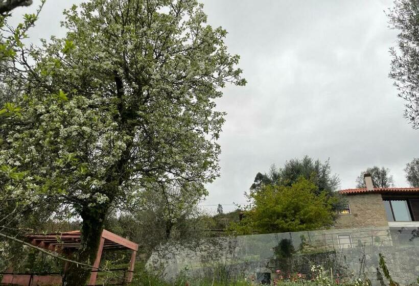 مبيت وإفطار Altavista