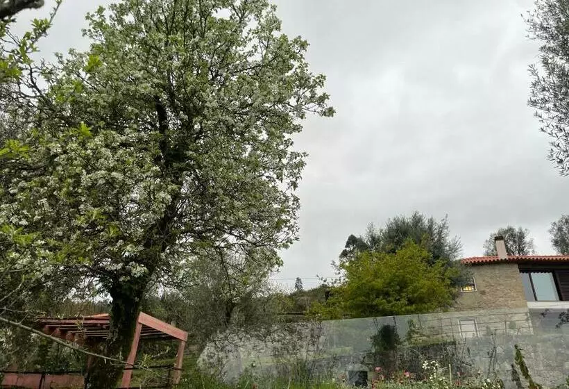 تختخواب و صبحانه Altavista